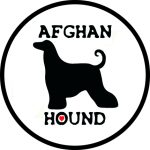 Autocollant Lévrier Afghan