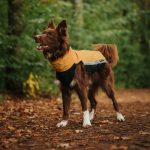 Gilet softshell & polaire jaune (avec fermetures éclair) – Image 3