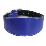 Collier en cuir pour lévriers - bleu – Image 2