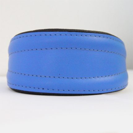 Basic halsband: blauw-zwart maat M