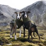 Offre combinée : gilet polaire + gilet softshell (couleur et taille au choix) -10 %