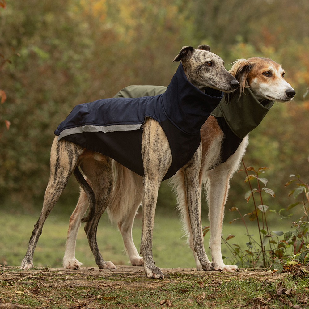 combideal Offre combinée : gilet softshell + gilet softshell & polaire (couleur et taille au choix) -10 % – Image 1