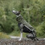 Gilet softshell vert foncé – Image 2