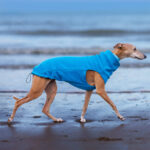 Gilet polaire aqua – Image 2