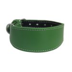 Collier en cuir pour lévriers - vert – Image 2