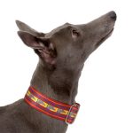 Collier martingale à motif lévrier rouge