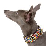 Collier martingale à motif pois lévrier – Image 2