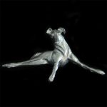 Broche lévrier relax