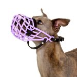 Protection de nez pour muselière de lévrier – Image 5