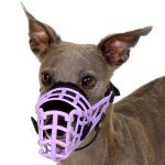 Protection de nez pour muselière de lévrier – Image 6