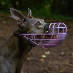 Muselière pour lévriers - taille 3 fermée (plusieurs couleurs) – Image 2