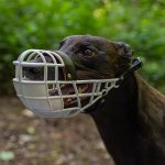 Muselière pour lévriers - taille 3 fermée (plusieurs couleurs) – Image 3