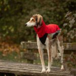 Gilet softshell rouge – Image 2