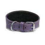 Collier en cuir pour lévriers - violet