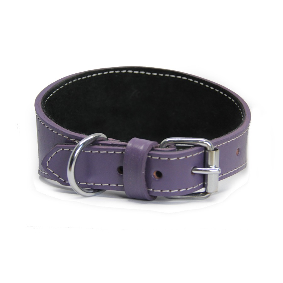 purple1 Collier en cuir pour lévriers - violet – Image 1