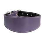 Collier en cuir pour lévriers - violet – Image 2