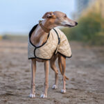 Manteau d’hiver matelassé pour lévriers beige – Image 3