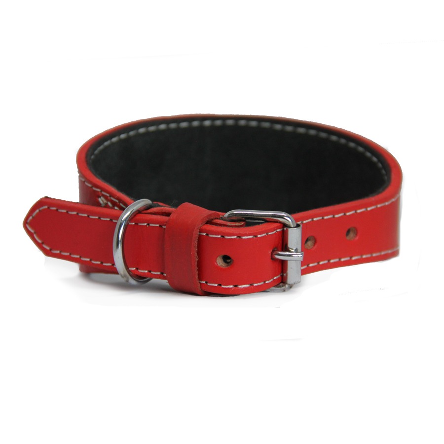 red1 Collier en cuir pour lévriers - rouge – Image 1