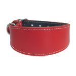 Collier en cuir pour lévriers - rouge – Image 2