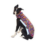 Gilet softshell arc-en-ciel – Image 3