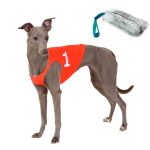 Offre combinée : casaques de racing et jouet pour chien à -10 %