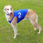 Casaques Racing - 6 pièces – Image 5