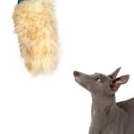 Jouet pour lévrier en peau de mouton - court - mélangé