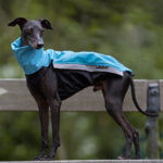 Gilet softshell aqua – Image 6