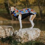 Gilet softshell fleurs – Image 4