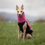 Gilet softshell & polaire rose (avec fermetures éclair) – Image 2