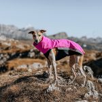 Gilet softshell & polaire rose (avec fermetures éclair) – Image 3
