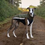 Gilet softshell vert foncé – Image 5