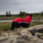 Gilet softshell rouge – Image 7