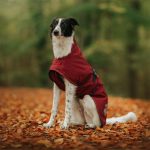 Manteau d’hiver Deluxe bordeaux – Image 2