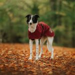 Manteau d’hiver Deluxe bordeaux – Image 3