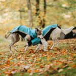 Gilet softshell aqua – Image 3