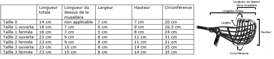 Tailles muselières levriers