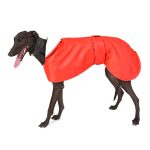 Manteau d’hiver rouge