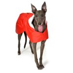 Manteau d’hiver rouge – Image 2