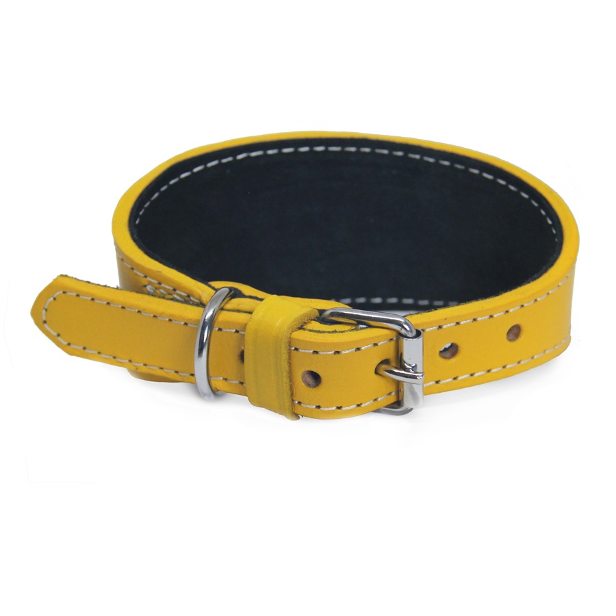 yellow1 Collier en cuir pour lévriers - jaune – Image 1