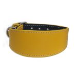 Collier en cuir pour lévriers - jaune – Image 2